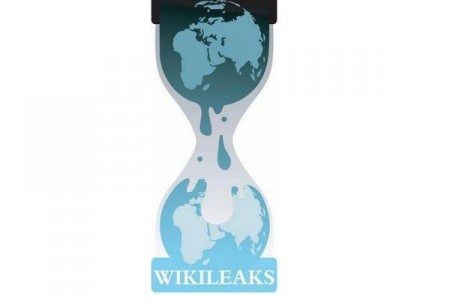 The Invincible Wikileaks