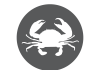 Cancer-the-Crab