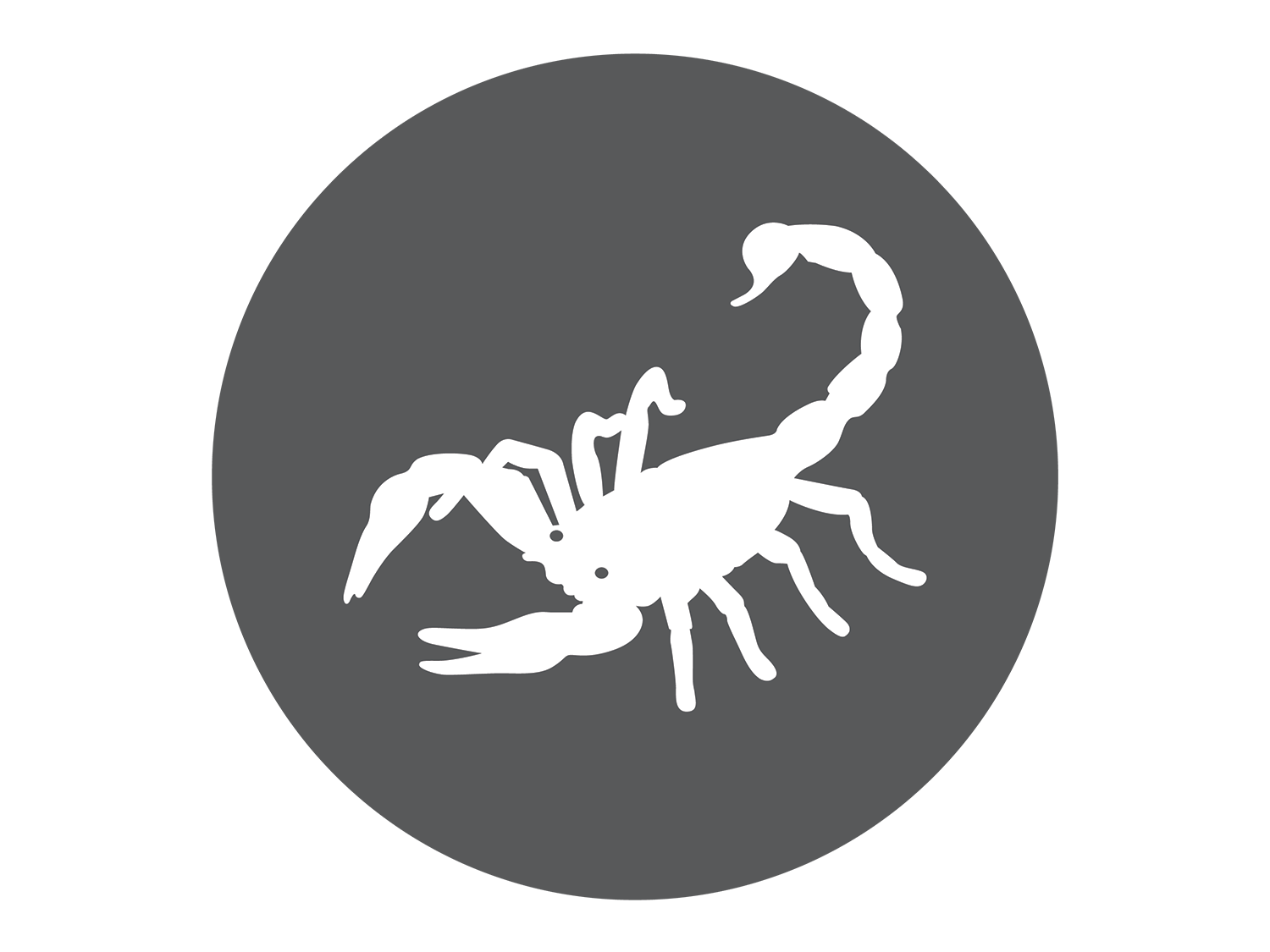 simple scorpio scorpion