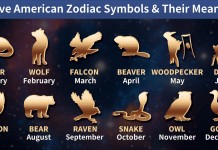 Native American Zodiac Signs