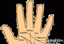 Palmistry Lines