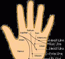 Palmistry Lines