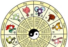 Chinese Zodiac