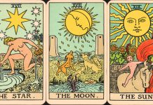 Daily Tarot Readings