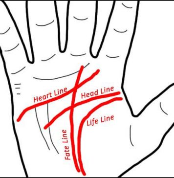 Heart Line Palmistry