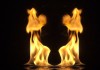 twin flames numerology