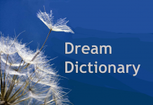 dream dictionary