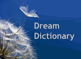 dream dictionary